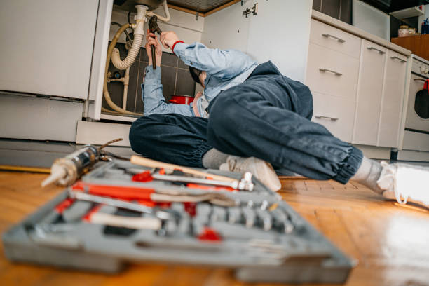 Best Local Plumber Services  in Hemlock Farms, PA